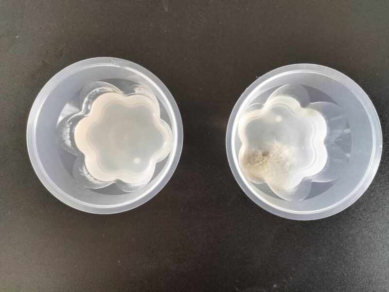 抗カビ成膜剤施工前後の違いを示した比較イメージ